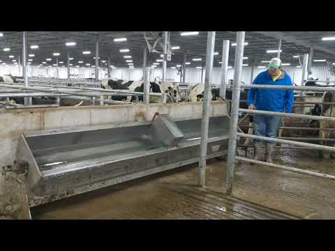 HMI Stainless Steel Dump Troughs