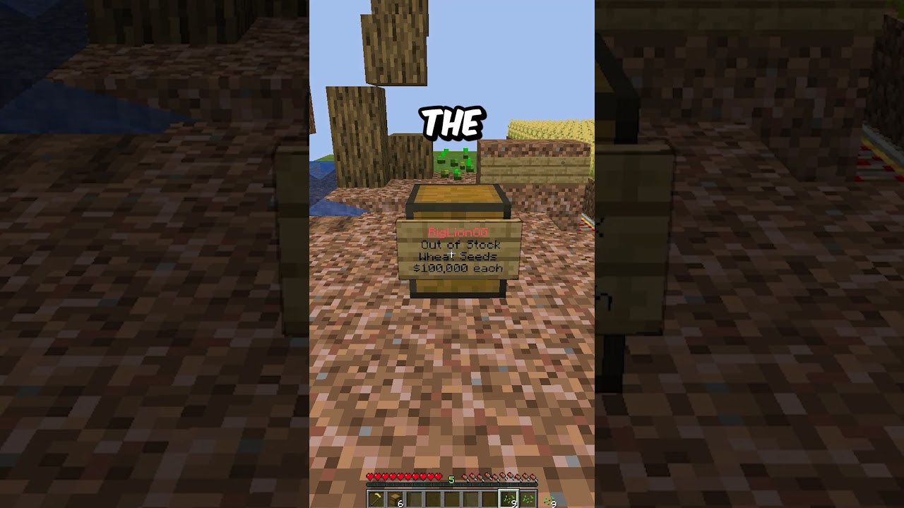 MAKING A CHEST SHOP ON OUR TYCOON SERVER!