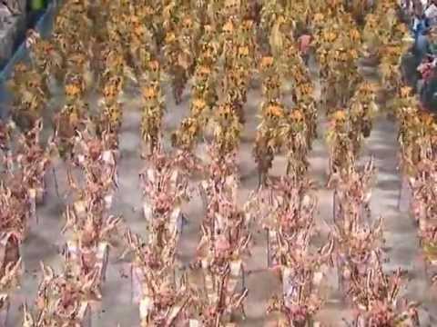 Desfile Oficial Carnaval 2007   Beija Flor de Nilópolis.wmv