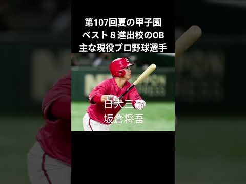 第107回夏の甲子園ベスト８進出校のOB主な現役プロ野球選手 #甲子園 #高校野球 #野球 #野球 #日大三 #関東一 #山梨学院 #京都国際 #県岐阜商 #横浜高校 #沖縄尚学 #東洋大姫路