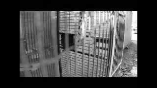 Sea of Love -Cat Power