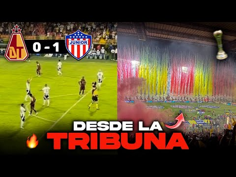 "" Barra: Revolución Vinotinto Sur &bull; Club: Tolima