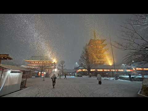 Snowy Tokyo Asakusa at night