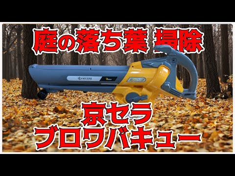 庭掃除に最適な道具は何ですか？リーフシュレッダーバキュームまたはリーフブロワー  庭園