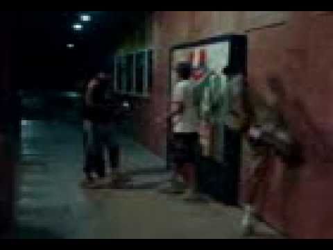 Zuando / Terra Encantada