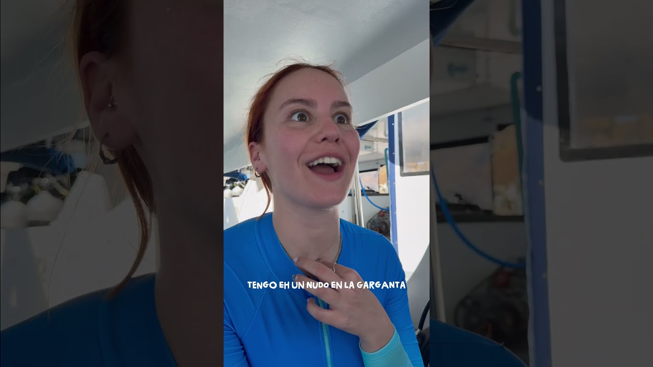 Ver video de la experiencia