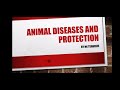 Grade 12 Agricultural Sciences Methods Of Testing Animal Health Animal Protection And Control