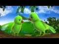 Chitti Chilakamma - Parrots 3D Animation Telugu Rhymes For children with lyrics