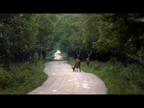 Singureni Manor - a place for living private sensations and elevating experiences.