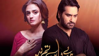 Mere Pass Tum Ho  Episode 22  Second Last  ARY Dig