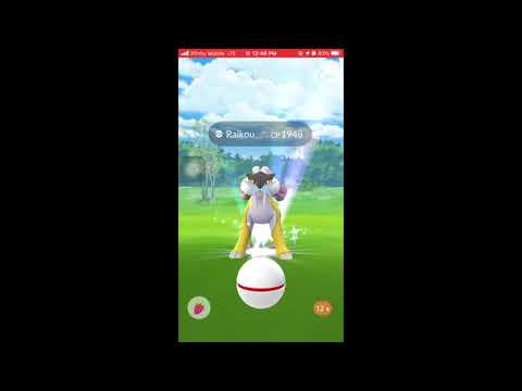 Catching Raikou (with double bounce throws and excellent curveball throws)