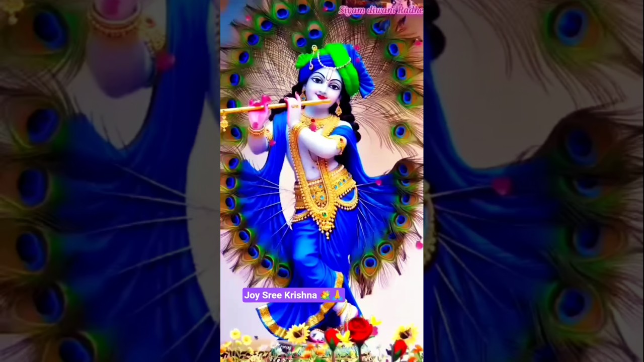 Joy Sree Krishna 💐🙏🦚💐🍁 #love #trending #viralvideo #shorts #youtubeshorts #ytshorts 💐🌿