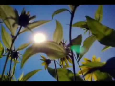 Zar Allah nije najljepsi Stvoritelj Sura Fedzr prijevod na bosanski