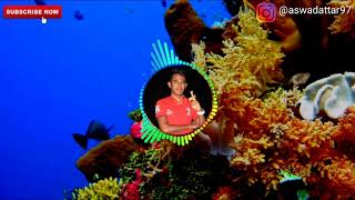 Download lagu Lagu Joget Wakatobi || lirik lagu Kende-Kende Nuranda mp3