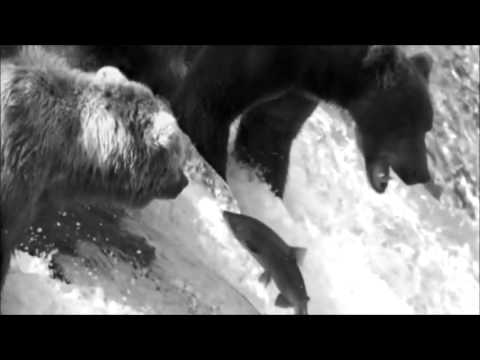 Noir Désir - Le Vent Nous Portera (Achilles Ganshof Remix) (Radio / Video Edit)