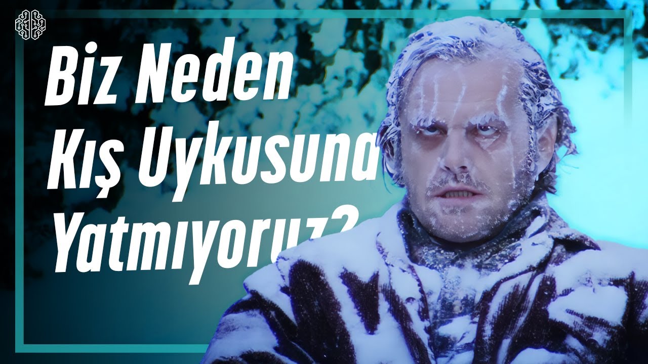 Biz Neden Kış Uykusuna Yatmıyoruz?