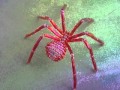 PINK SPIDER/hide (cover) 