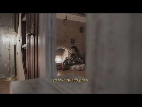 Hasta normal - Andrés SZ (Visualizer)