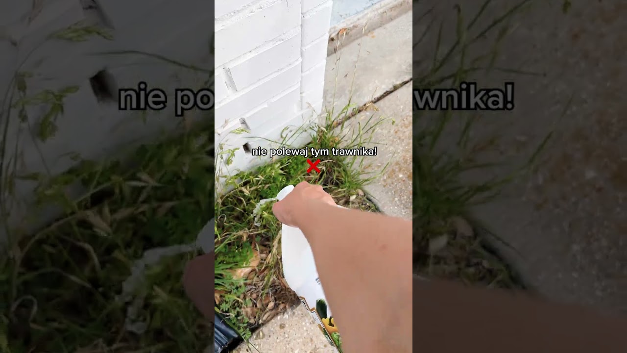 JAK W KOŃCU POZBYŁAM SIĘ CHWASTÓW - PROSTE DIY #shorts #chwasty #ogrodnictwo