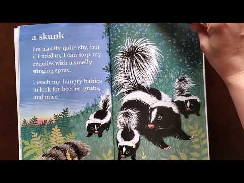 Animals Black and White Read Aloud