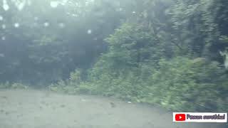 preview picture of video 'Kodachadri Ghat | Monsoon ride | Green foliage '