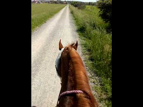 Plejbi i Mile, proljeće 2023.