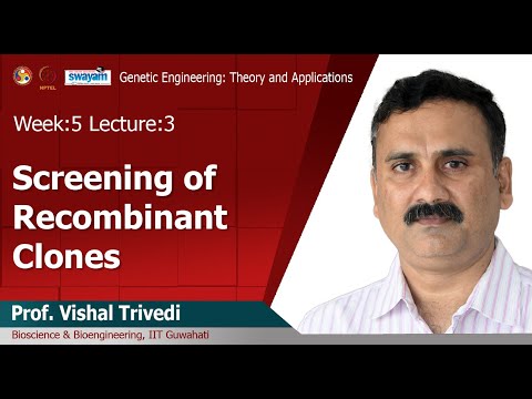 Genetic Engineering Theory and Application Intro Video