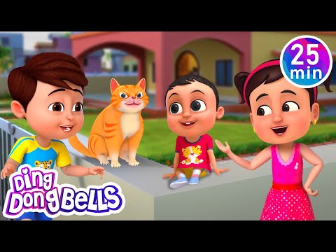 Meow Meow Billi Karti + 9 More Rhymes in Hindi | Nursery Rhymes | Ding Dong Bells