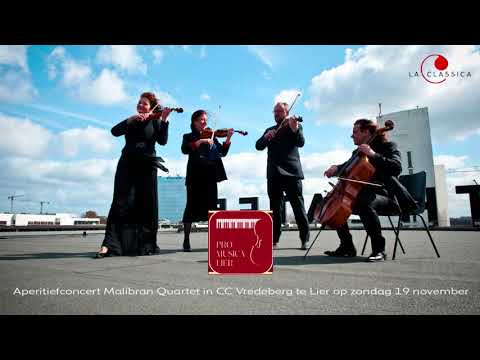 Aperitiefconcert Malibran Quartet -  Pro Musica