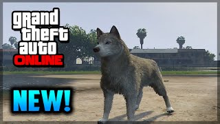 GTA 5 PS4 - How To Play As A Dog - NEW Peyote Plant Location! (GTA 5 Gameplay)
