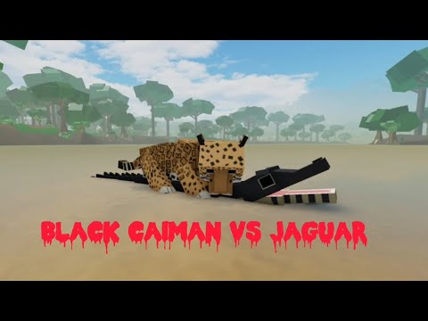 jaguar vs black caiman|amazon ascension roblox