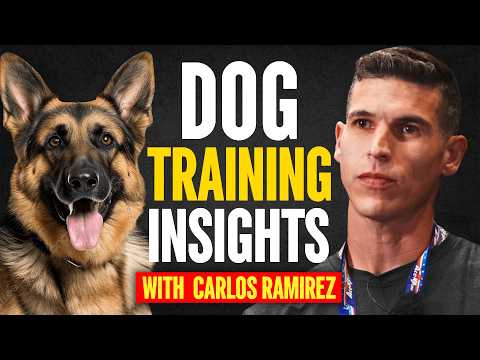 Train Like the Pros: Carlos Ramirez Reveals How to Fix Your Dog’s Behavior Fast