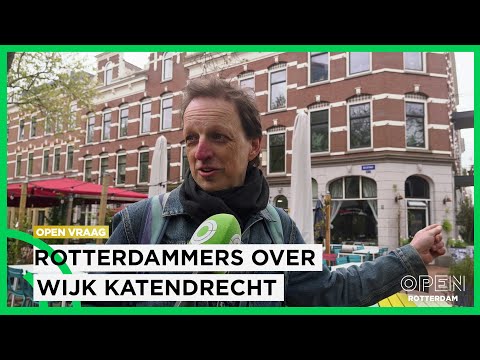 Rotterdammers over Katendrecht: levendig, gezellig en chill | SAMENLEVING