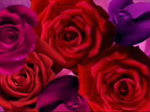 São Francisco Da Agonia video