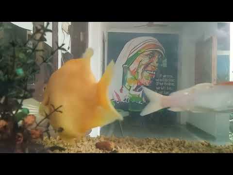 tamilkalacharm selvakumar🙏