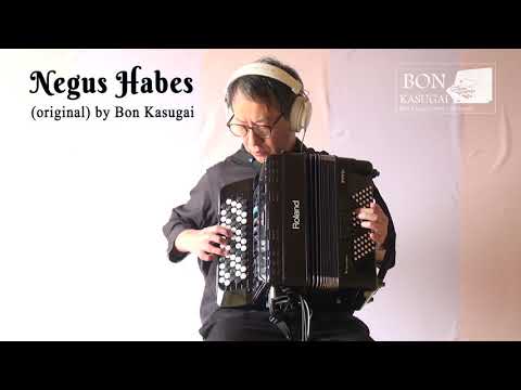 Bon Kasugai - Negus Habes (original) V-Accordion FR-1xb Solo