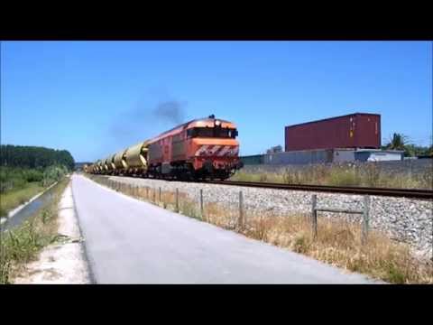 Comboio de Cereais n.º 50336 - Regueira de Pontes