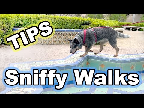 STOP UNWANTED behaviors with BACK UP