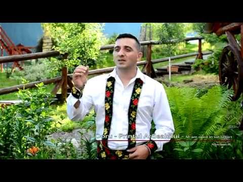 Doru  - Printul Ardealului -  M-am oprit in sat la birt