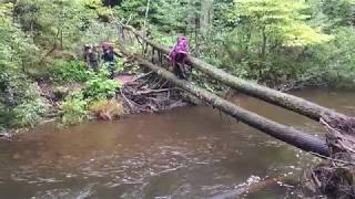 preview picture of video 'Porcupine Mountains, Upper Michigan'