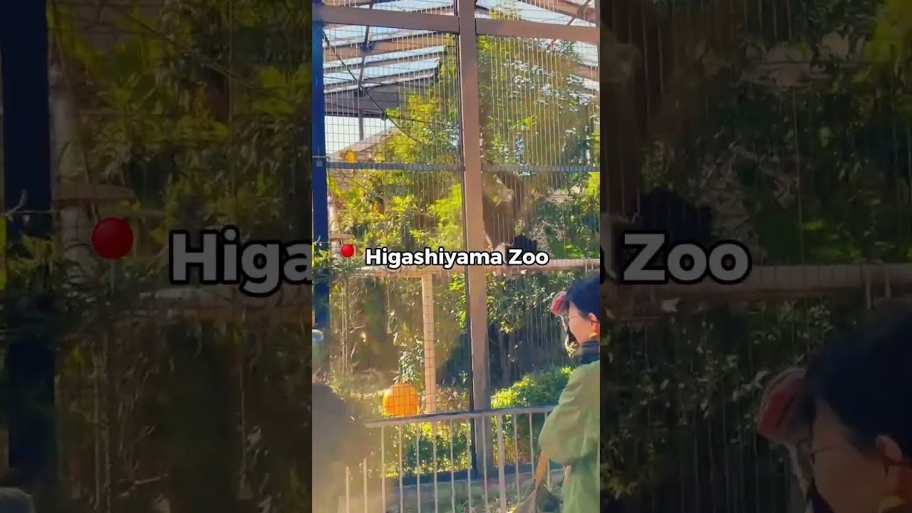 YouTube Short thumbnail