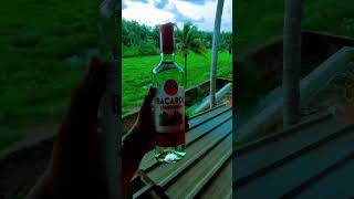 Download lagu #saraku #ilayaraja #music mp3