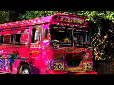 Thol Peththa Rosa Pata - Sujan Fernando ( @kasiyabro ) #kasiya_bus_kingdom #bus