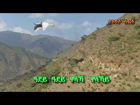 Dr  Bereket Mengsteab  Abeba Adey (1978)  በረኸት መንግስተኣብ  ኣበባ ዓደይ