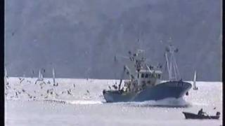 preview picture of video 'Vaixell de pesca a Santoña.wmv'