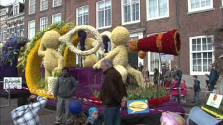【K】Netherlands Travel-Haarlem[네덜란드 여행-하를럼]꽃 퍼레이드/Haarlem, Flower Parade/Tulip