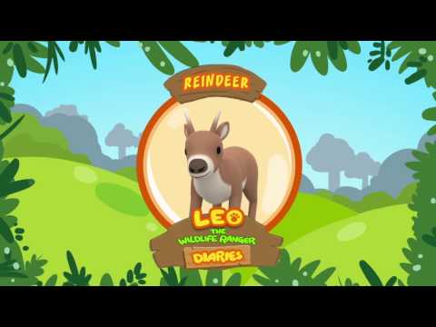 Witness21  2018 12 19