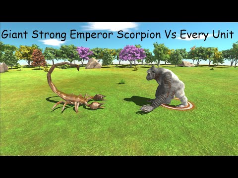 Giant Strong Emperor Scorpion Vs Every Unit ARBS |Animal Revolt Battle Simulator