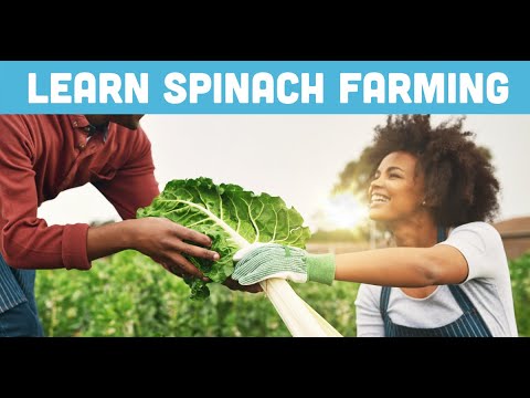 Profitable Pig Farming and Best Practices for success Course Outline