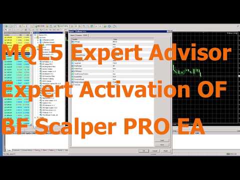 MQL5 Expert Advisor EA Activation OF BF Scalper PRO Revolver Dark Hole  Assassin Scalper EA